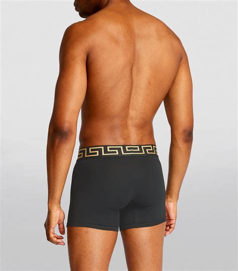 versace boxee|Versace boxer trunks.